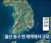 울산 동구 먼 해역에서 규모 2.9 지진