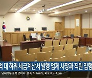 30억 대 허위 세금계산서 발행 업체 사장과 직원 집행유예