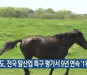 제주도, 전국 말산업 특구 평가서 9년 연속 ‘1위’