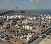 LG Chem to build HVO plant with Italian energy company