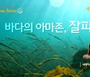 KB금융, '바다의 아마존, 잘피숲' 공개… "탄소 흡수하는 블루카본"