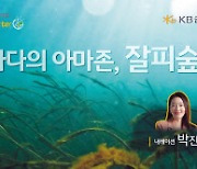 KB금융 ‘바다의 아마존, 잘피숲’ 영상 공개