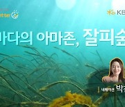 KB금융, 국제 연안 정화의 날 맞아 '바다의 아마존, 잘피숲' 영상 공개