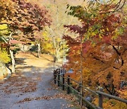 화순 모후산 단풍 숲길 ‘가을철 걷고 싶은 숲길’ 대상