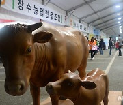 장수 한우 조형물 뒤로 가득한 인파