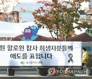 이태원 참사 1주기 앞두고 '대구 핼러윈 축제' 취소