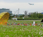 인천공항 하늘정원 코스모스 꽃밭, 다음 달 9일까지 개방