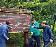 태백시, 맨발걷기 숲길 조성 추진