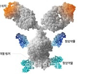 [제약·바이오 해외토픽]후끈 달아오르는 글로벌 ADC시장…승자는?