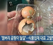 ‘잼버리 곰팡이 달걀’…식품업체 대표 고발당해