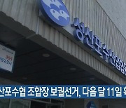 성산포수협 조합장 보궐선거, 다음 달 11일 확정