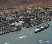 하와이 산불 사망자 수 줄었다..."시신 뒤섞여 중복"