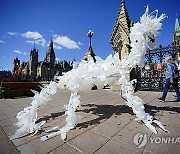 Canada Climate Protest