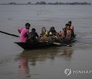 India River Islands Photo Gallery