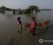 India River Islands Photo Gallery