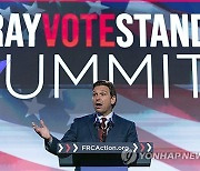 Election 2024 DeSantis