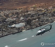 하와이 산불 사망자수 97명으로 줄어…"서로 안고 있어 뒤섞여"