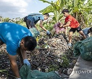 INDONESIA WORLD CLEANUP DAY