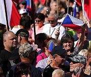 Czech Republic Politics