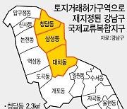 서울시 vs 강남구, 이번엔 '토지거래허가' 충돌