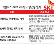 SK브로드밴드-넷플릭스 망대가 소송 취하할 듯…SKT 협상중