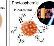 KIST, 인간 눈처럼 색 구분하는 인공 신경회로 개발