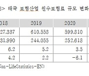 보험연구원 "태국 보험시장, 성장 잠재력 커...생손보사가 신디케이트 론까지 투자 가능"