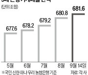 꺾이지 않는 은행 가계대출