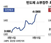 반도체 형님 주춤하자 아우가 간다… 소부장株 신고가 랠리