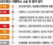 Btv서도 넷플릭스 본다… SKT·SKB 결합상품 내년 출시 [SK-넷플릭스, 적에서 동반자로]