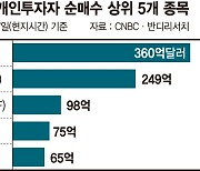 애플도 엔비디아도 아니었다… 美개미 톱픽은 ‘테슬라’