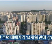 울산 주택 매매가격 14개월 만에 상승 전환