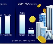 포스코DX·엘앤에프 또 ‘공매도 덫’ 우려