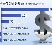 ‘6개월래 최고’ 强달러 올라타자…달러 ETF 사고 인버스 팔고 [투자360]