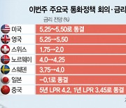 美, 금리 동결 후 인상할수도···英·스위스 베이비스텝 유력