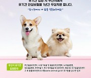 '댕냥이' 보험 정비 이뤄질까…활성화 방안 발표 임박