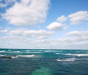 남동발전, 2036년 4.3GW 해상풍력 구축…해상풍력 전문기업 발돋움