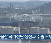 7월 울산 국가산단 생산과 수출 모두 감소