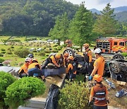 성묘 후 공원묘지 내리막길서 승용차 추락…80대 노부부 '참변'