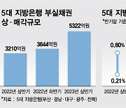 지방은행 부실채권 5000억 털었지만...연체율 더 뛰었다