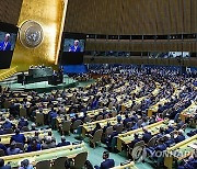 UN General Assembly