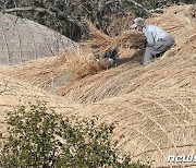 제주도, 10월 4~14일 '제주어 주간' 행사 풍성