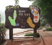 [경기] 성남시, 분당 율동공원에 '맨발 황톳길' 개장