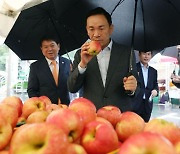 비 내려도 강남구 추석 맞이 직거래 장터 성황