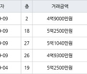 용인 신갈동 신흥덕 롯데캐슬레이시티 59㎡ 4억9300만원에 거래