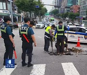 “강남 한복판 지나는데 차 ‘덜컹’”…‘땅 꺼짐’ 일주일 만에 또? [잇슈 키워드]