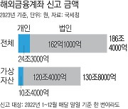 국내 거주자·법인 ‘해외 가상자산’ 131조