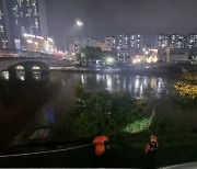 호우경보 내린 부산 하천서 여성 실종…소방 “수색중”