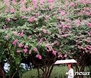 [오늘 날씨] 가을비 '요란'…오전 중부지방부터 전국 확대