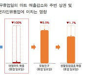 “대형마트 의무휴업일, 주변 상권 매출액에 악영향”